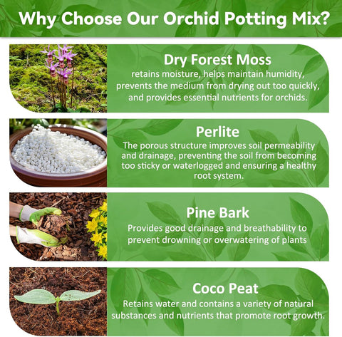 Riare 6QT Orchid Potting Mix for Repotting, Pre-Mixed & Ready-to-Use