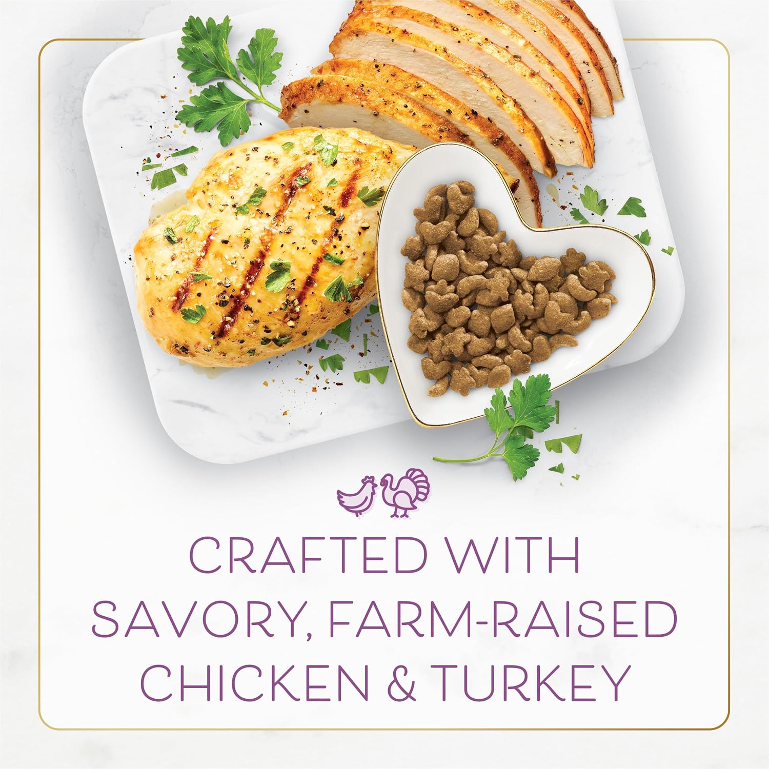 Fancy Feast Purina Farm-Raised Chicken & Turkey Dry Cat Food, 7 lb. Bag