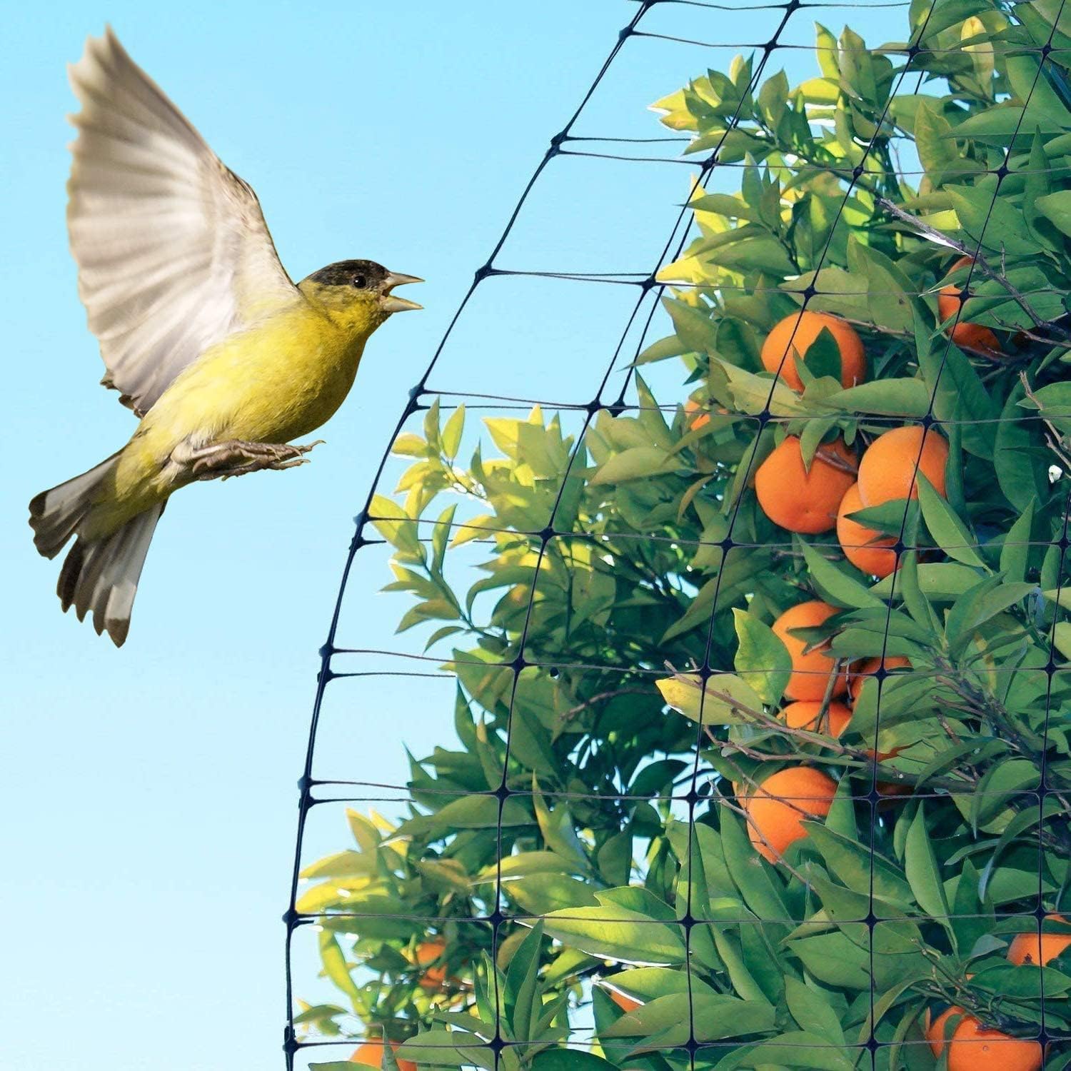 Feitore Deer Fence Netting, 7x100ft Garden Net Bird Netting,Reinforced Edge