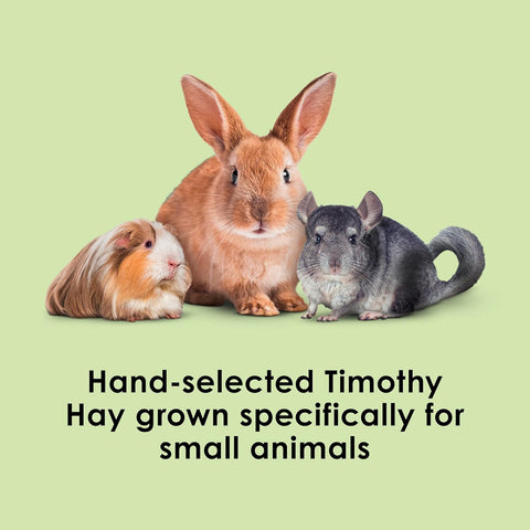 Kaytee Timothy Hay, High Fiber for Rabbits, Guinea Pigs, 48 Ounces