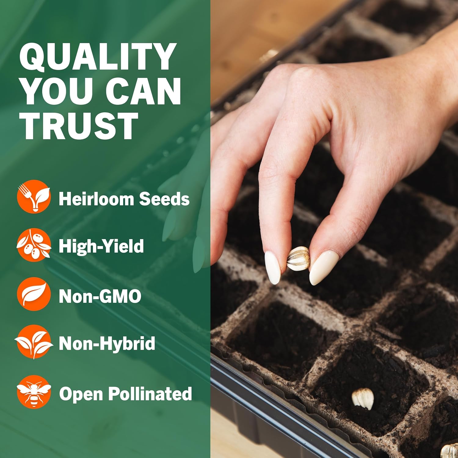 Vegetable & Fruit Seeds, 32 Packs, Non-GMO, 15,000+ Seeds