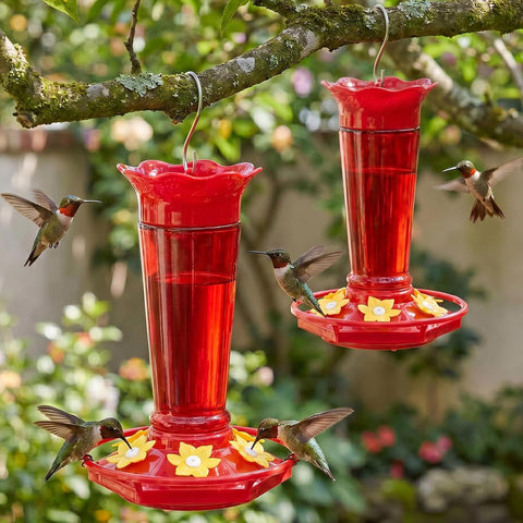 Gbekery 10 OZ Glass Hummingbird Feeders for Outdoors Hanging - Red 2 Pack, Ant & Bee Proof and 6 Feeding Ports, Garden Yard Décor Gifts for Mom