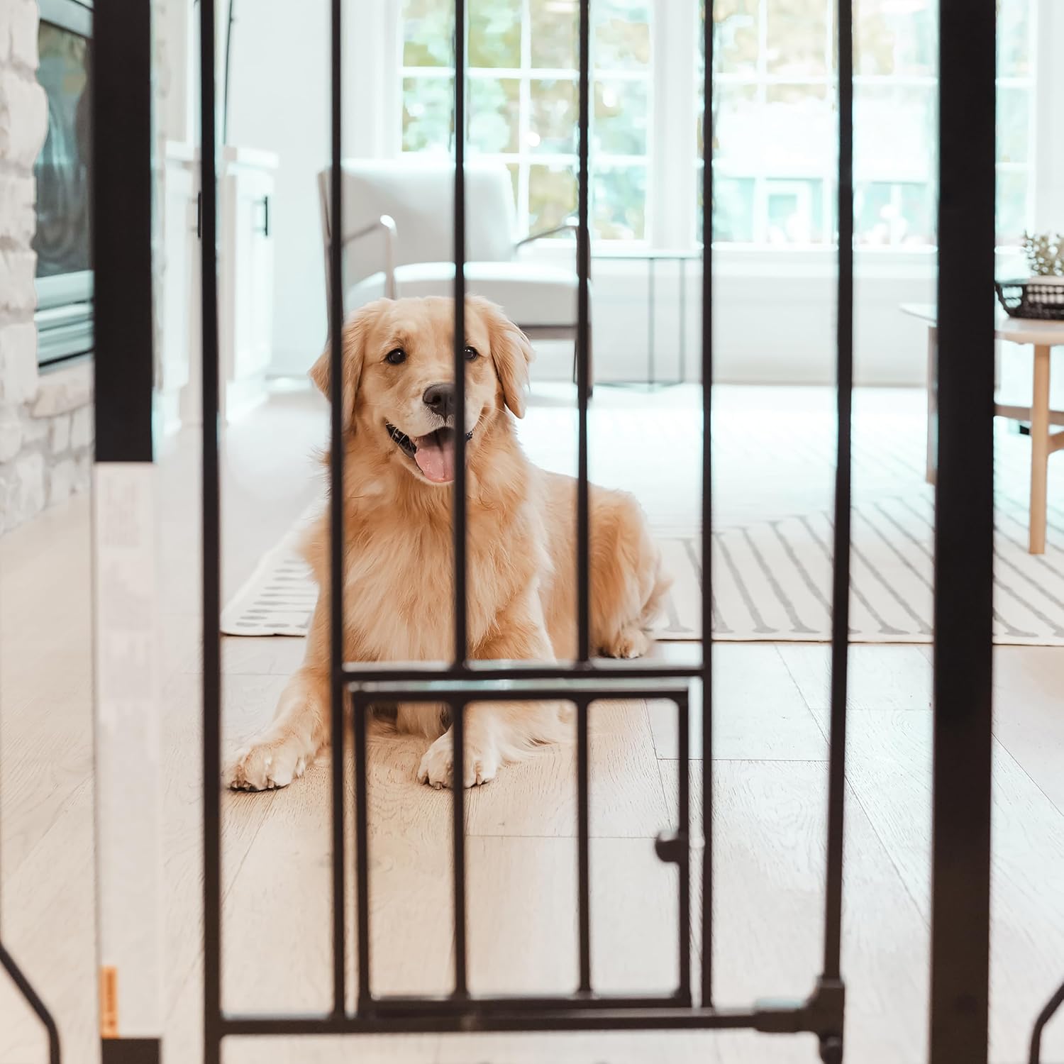 Carlson 36" Extra Tall Walk Through Dog Gate for Doorways & Bottom of Stairs, Metal Pet Gate with Small Pet Door, Expands 29”–36.5”, Black