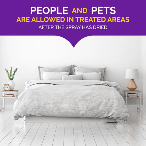 Hot Shot Bed Bug Killer Ready-To-Use Spray 32 Ounces, 12 Pack