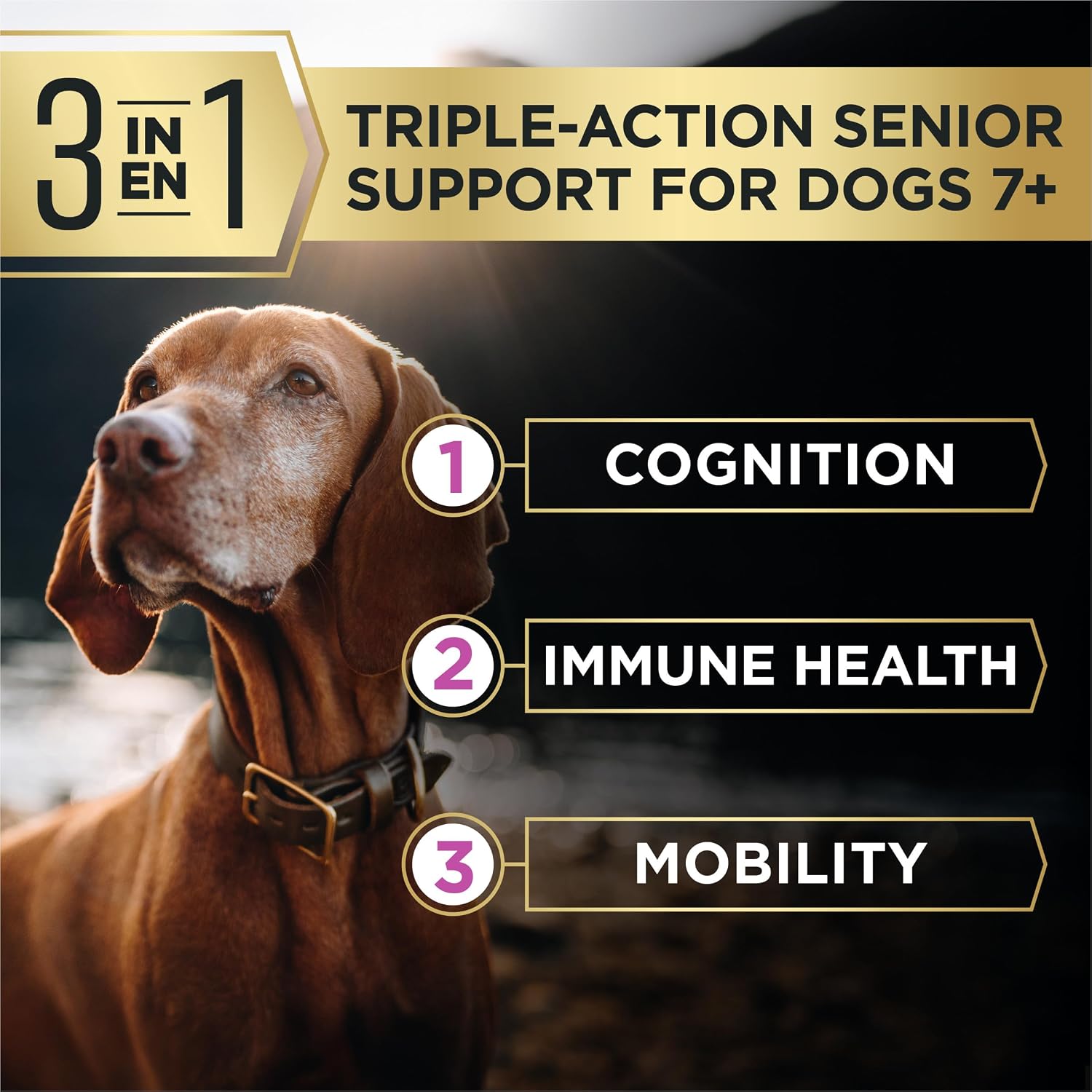 Purina Pro Plan AdvantEDGE Senior Support 7+ Dry Dog Food, 22 lb Bag