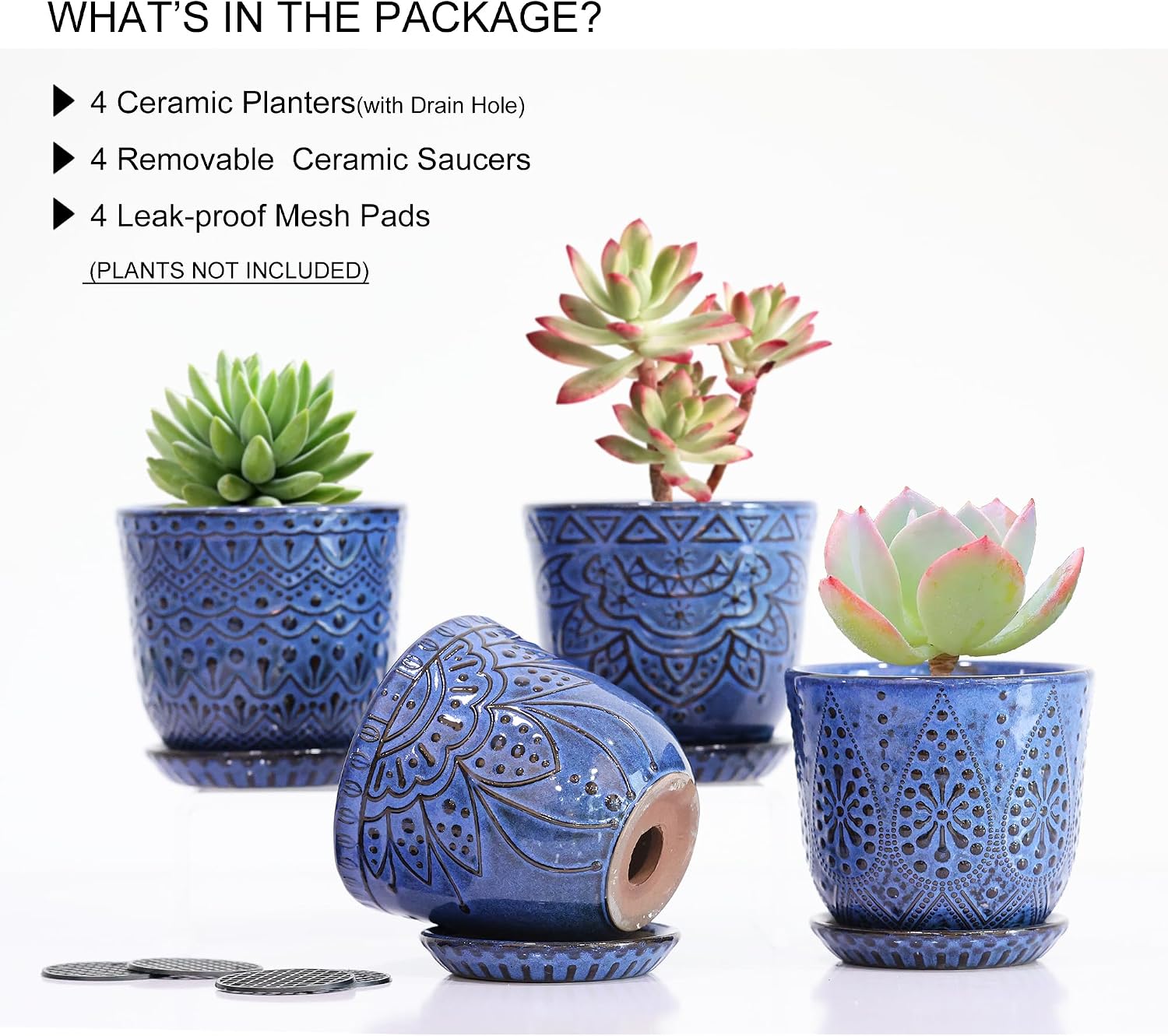 Gepege Ceramic Succulent Pots, 4 Inch Small Plant Pots with Drainage