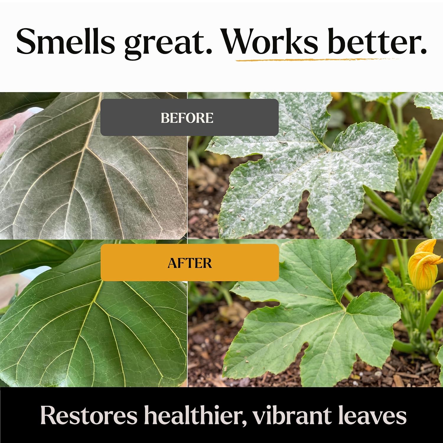 Big Leaf Energy Organic Neem Oil Spray for Plants, Indoor + Outdoor, 16oz