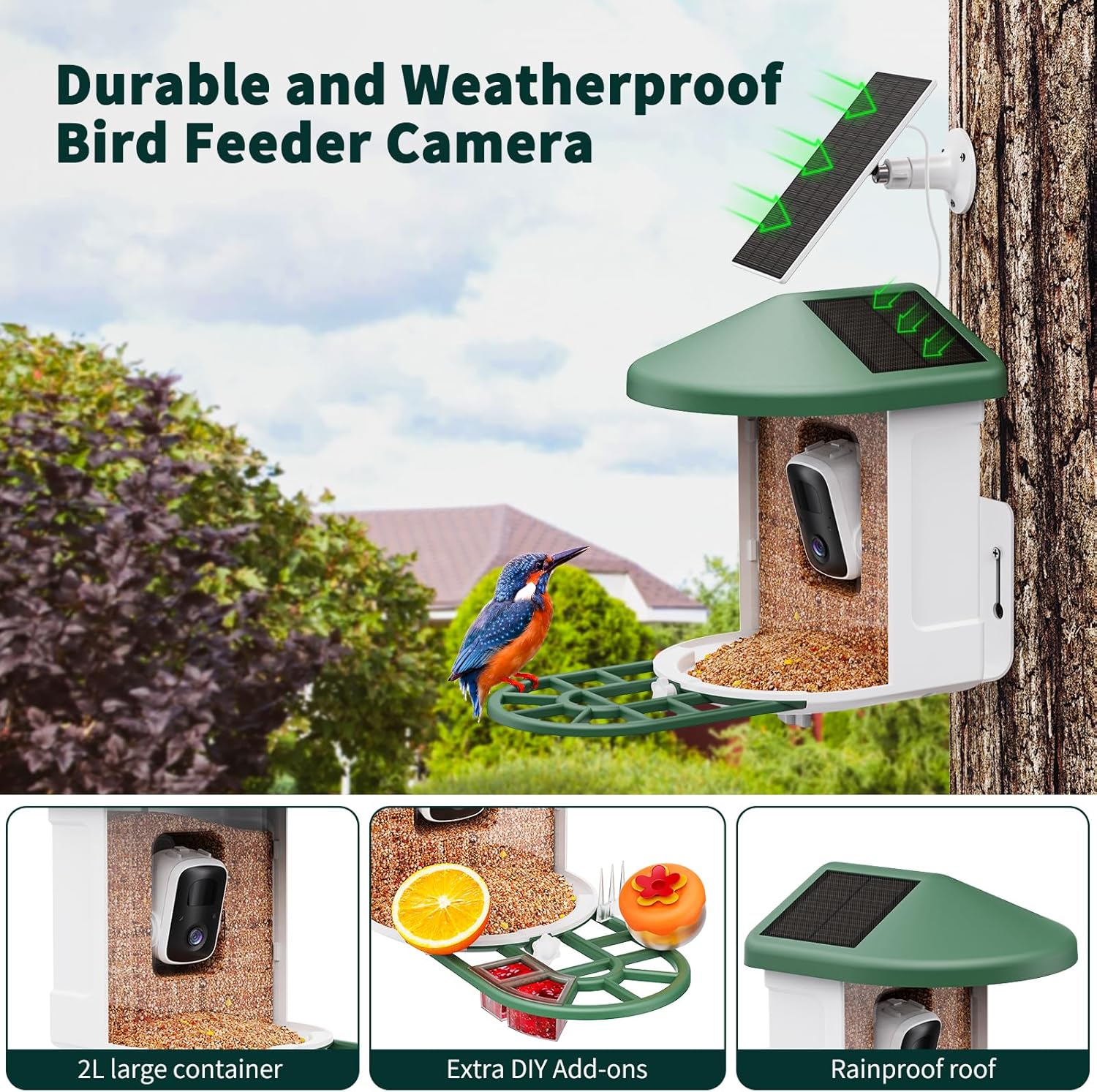 HARYMOR Smart Bird Feeder with Camera - AI Identify Birds Species, Solar Powered Bird House with Cam, 2L Large Capacity, 2K HD Video Live Stream, Instant Arrival Alerts - Green