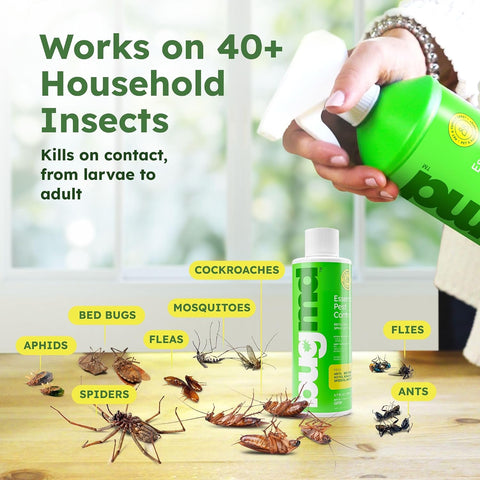 BugMD Ant Killer and Bug Spray Concentrate - Plant-Powered (3.7 oz)