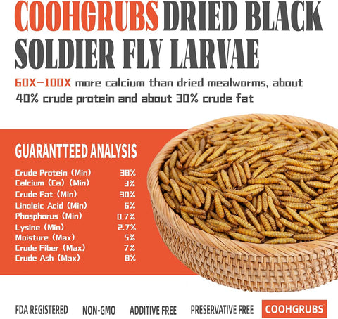 COOHGRUBS 10LB Non-GMO Dried Black Soldier Fly Larvae Chicken Treats