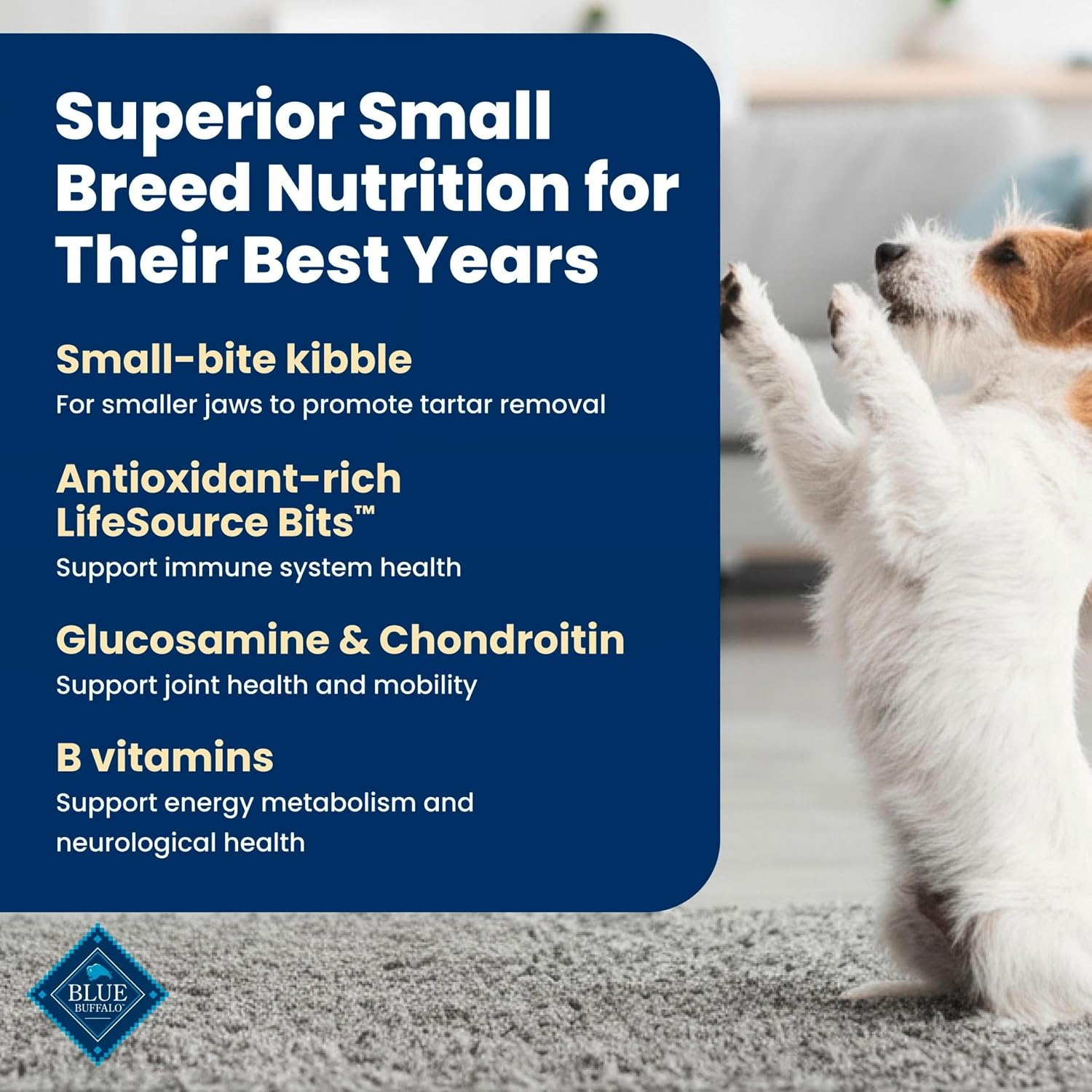 Blue Buffalo Life Protection Formula Chicken Small Senior Dog Food, 5 lb