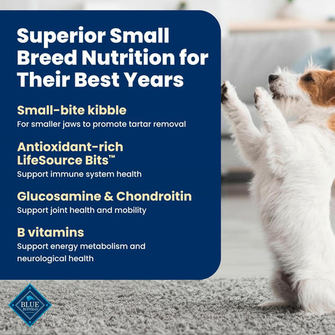 Blue Buffalo Life Protection Formula Chicken Small Senior Dog Food, 5 lb
