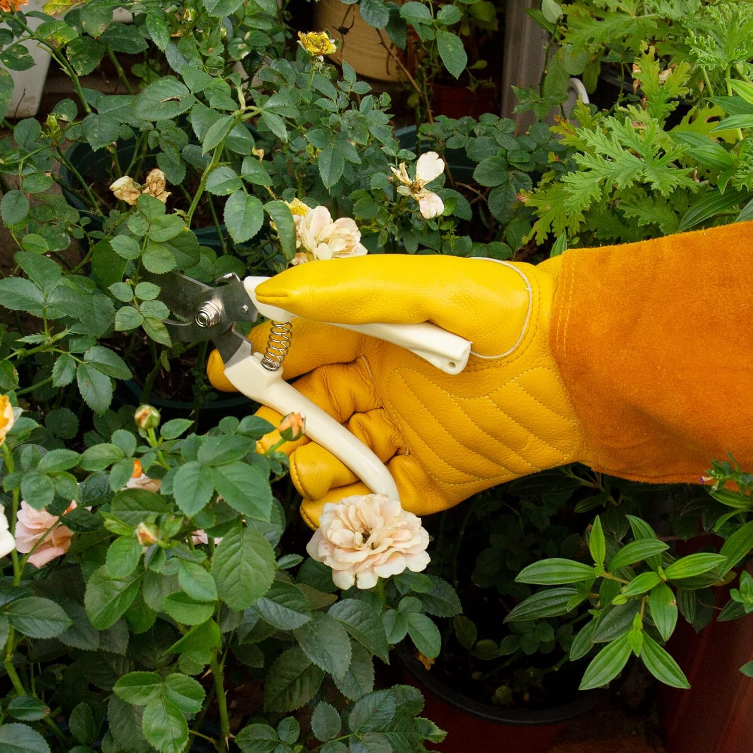 Acdyion Thorn Proof Gardening Gloves for Men & Women, Butter Yellow, S