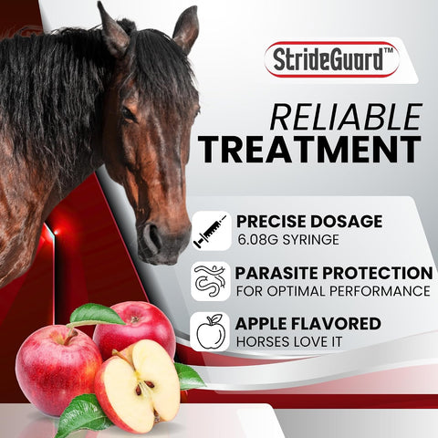 Horse Ivermectin Paste 1.87% – Apple Flavored Oral Horse Dewormer Syringe – 6.08g Tube Treats Horses Up to 1,250 lbs [Pack-1]