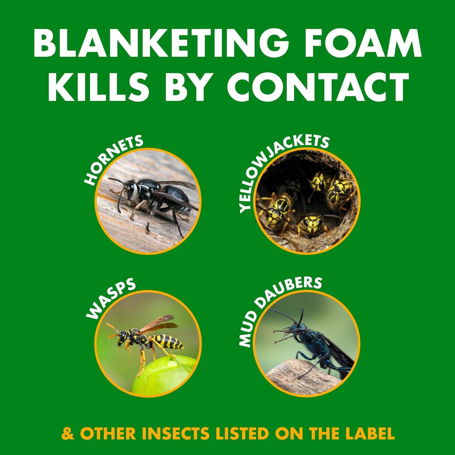 Spectracide Foaming Wasp & Hornet Killer 14 Oz, Kills by Contact, 3 Pack