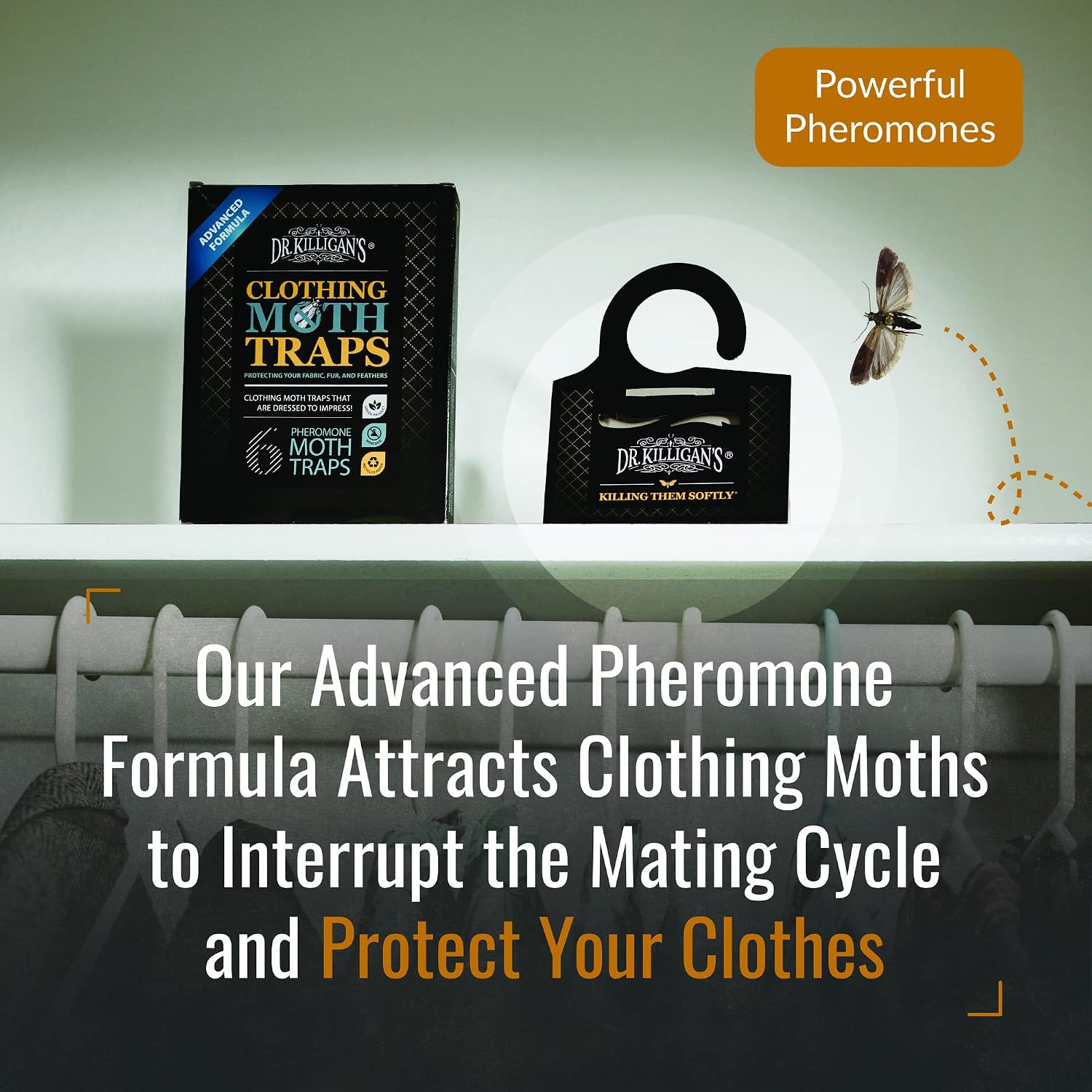 Dr. Killigan's Premium Clothing Moth Traps with Pheromones (Black, 6 Traps)