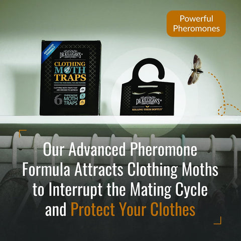 Dr. Killigan's Premium Clothing Moth Traps with Pheromones (Black, 6 Traps)