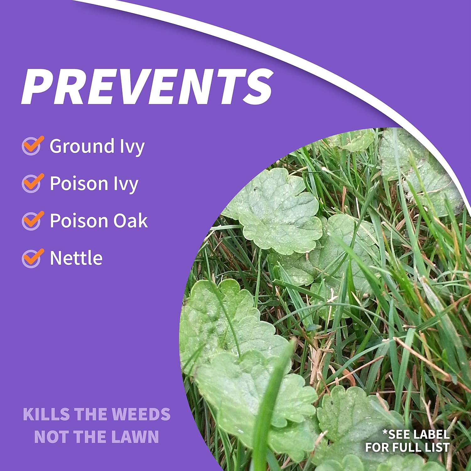 Bonide Poison Oak & Ivy Killer, 32 oz Ready-to-Use Spray