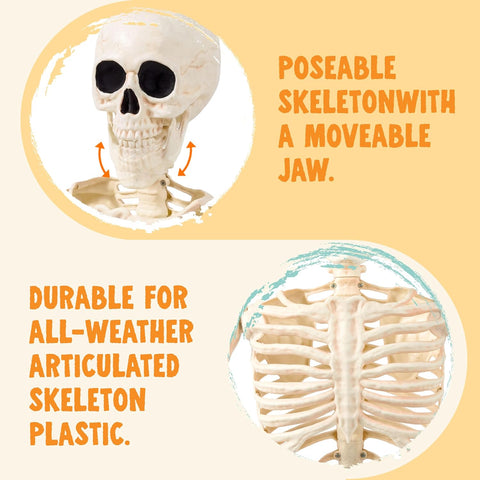 JOYIN 36" Halloween Skeleton Decor, 3FT Full Body Realistic Bones with Stayable Movable Joints, Posable Hanging Skeletons for Halloween Decoration, Yard, Graveyard, Haunted House, Spooky Scene Party