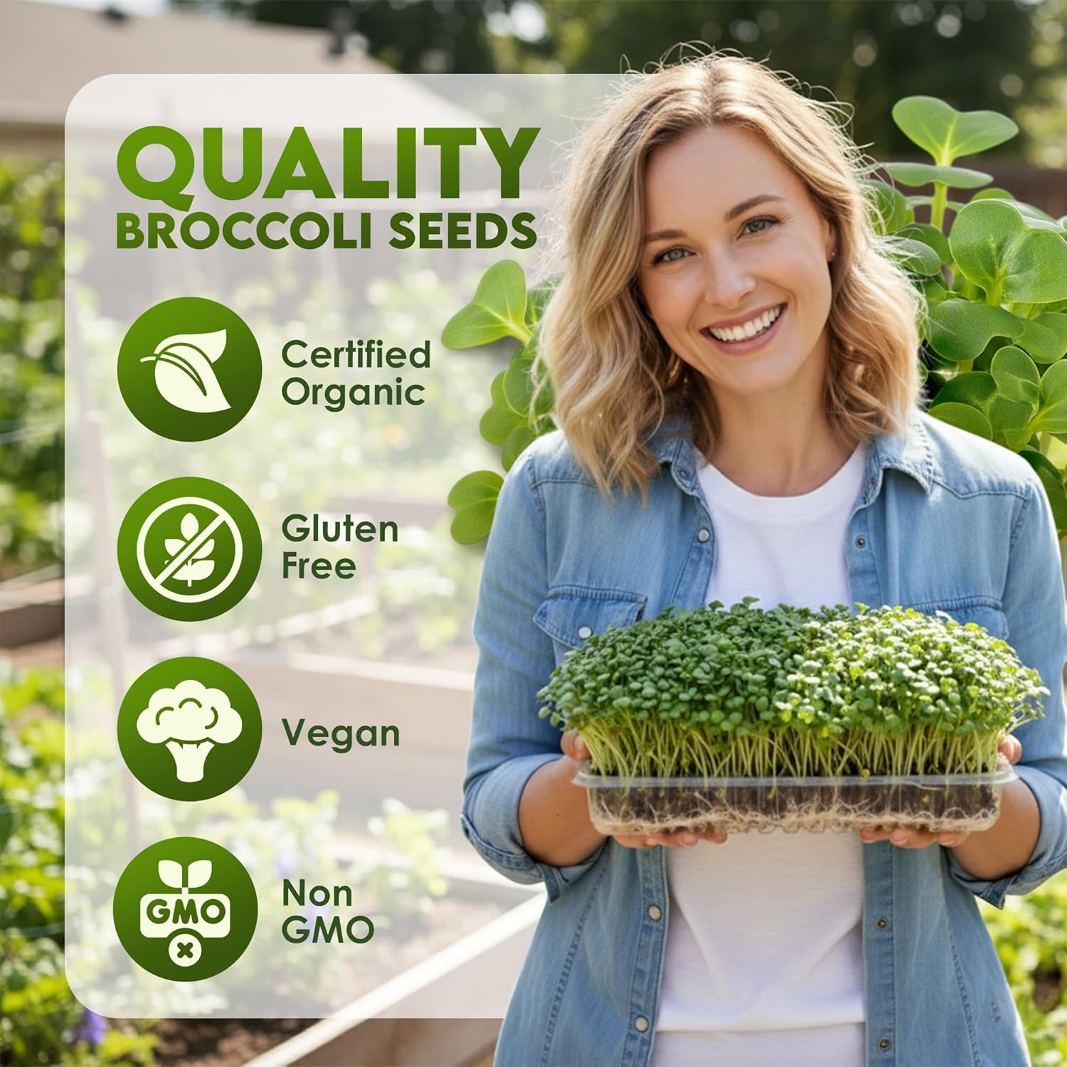 Nature Jim's Sprout Organic Broccoli Seeds – Non-GMO, Sprouting Seeds - 8oz