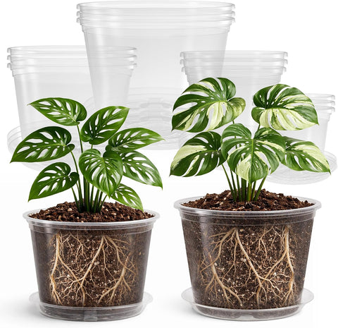 Bluepro Clear Nursery Pots with Saucers, 5/6/8/10 Inch, 12-Pack