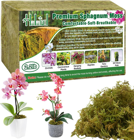 Halatool 2.2 LB Natural Green Forest Moss, 50 QT Long Fiber Sphagnum Moss