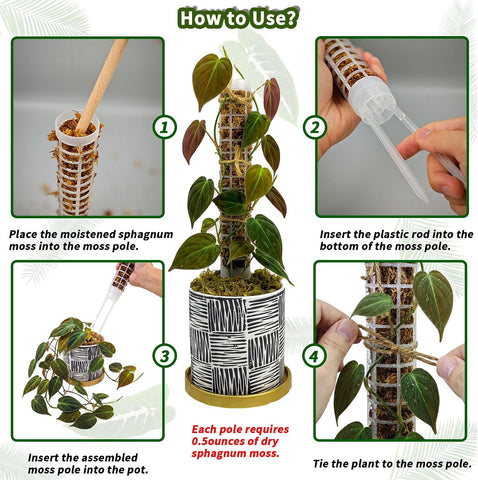 Small Moss Pole for Monstera, Plastic Moss Poles for Climbing Plants Indoor