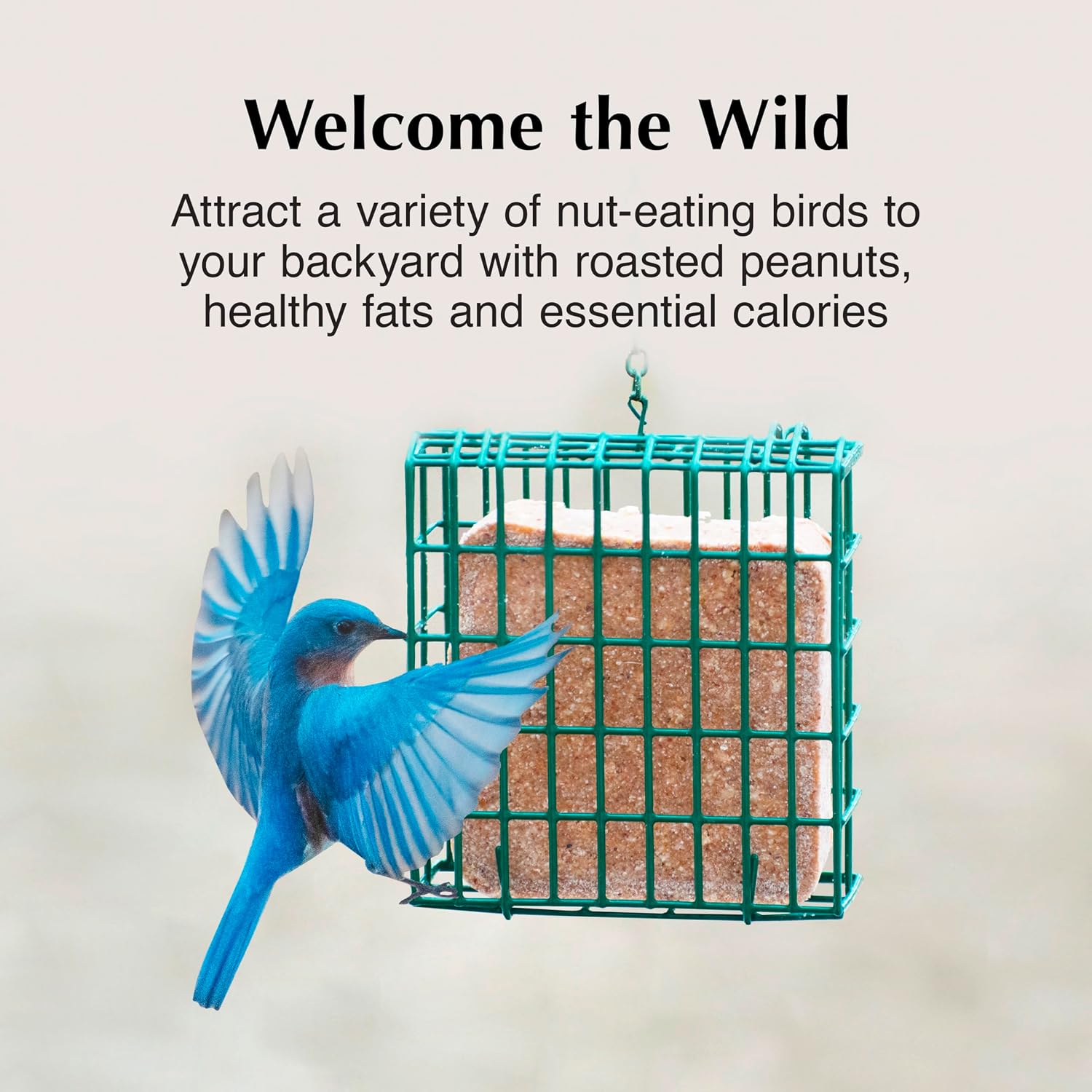 C&S Peanut Butter Delight No Melt Suet Dough, Suet Cakes for Wild Birds