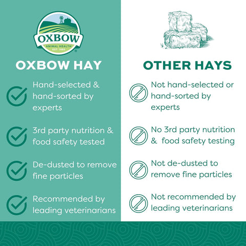 Oxbow Western Timothy Hay, Rabbit & Guinea Pig Hay, High Fiber, USA, 40 oz