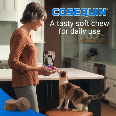 Nutramax Cosequin Joint Health Supplement for Cats, Soft Chews, 60ct