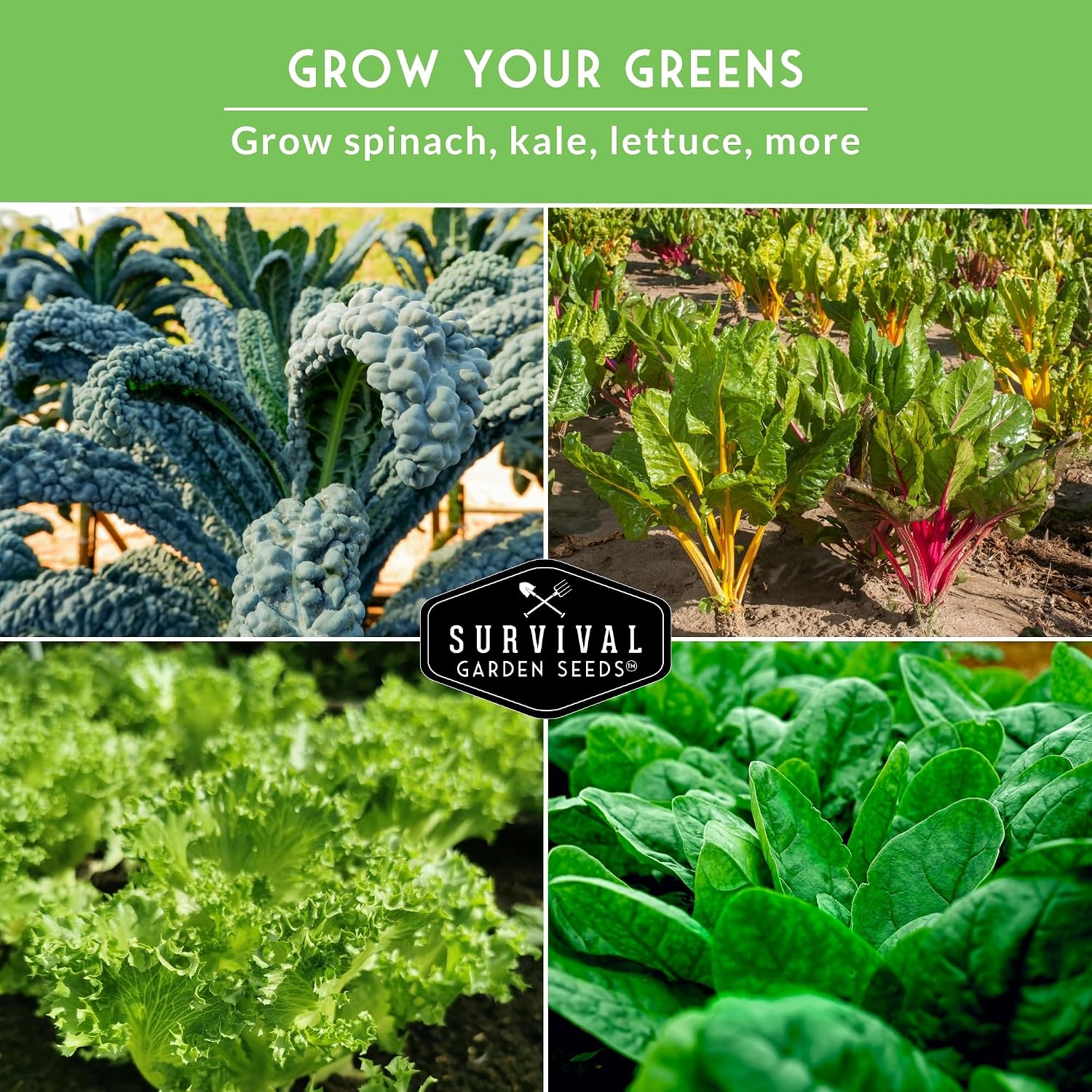 Leafy Greens Seeds Variety Pack – 5 Heirloom Collection