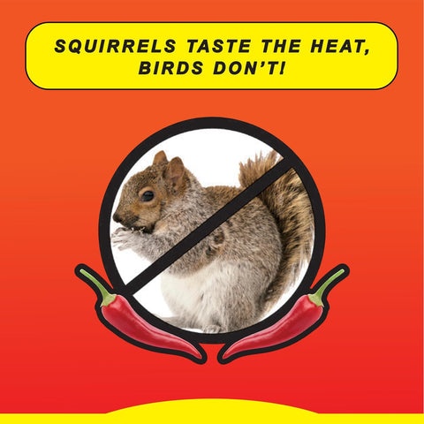 Wild Delight Sizzle N' Heat Wild Spicy Bird Seed to Deter Squirrels