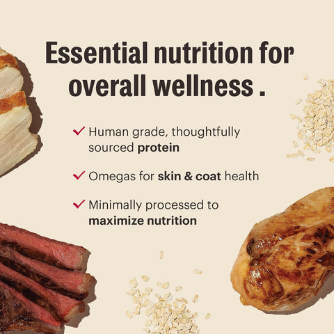The Honest Kitchen Essential Clusters Whole Grain Turkey & Chicken Recipe, Vet-Recommended Human Grade Dry Dog Food for Adult Dogs, Nutritional Support for Skin, Coat & Overall Wellness, 20 lb Bag