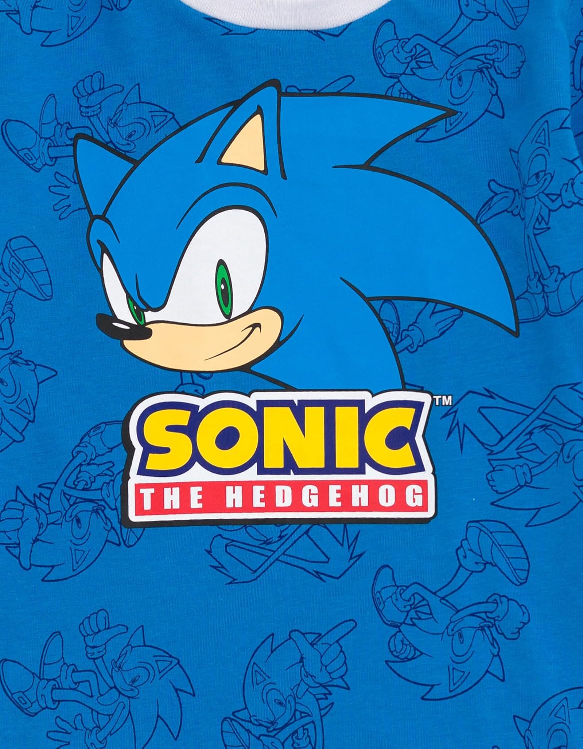 SEGA Sonic the Hedgehog Hangdown T-Shirt Little Kid to Big Kid