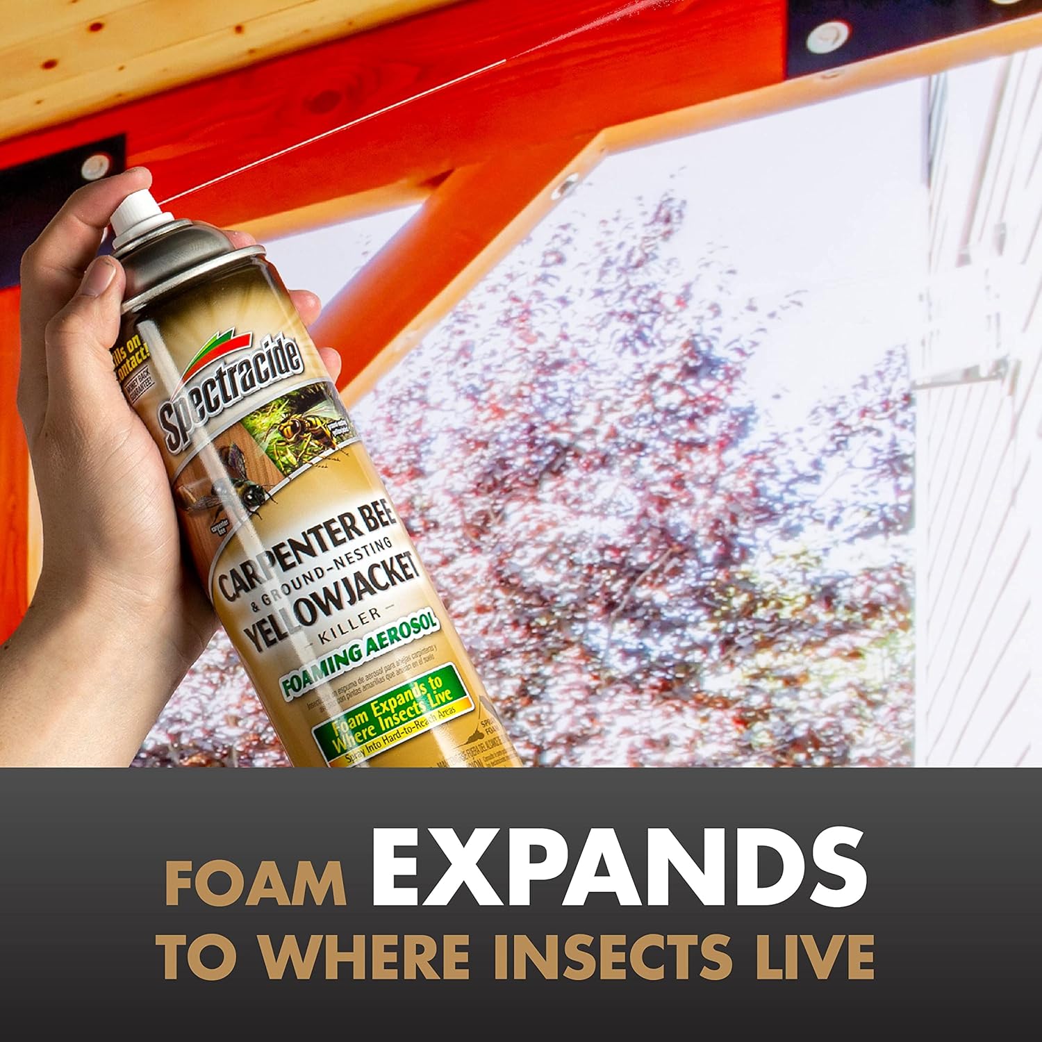 Spectracide Carpenter Bee & Gound-Nesting Yellowjacket Killer, 16 Oz