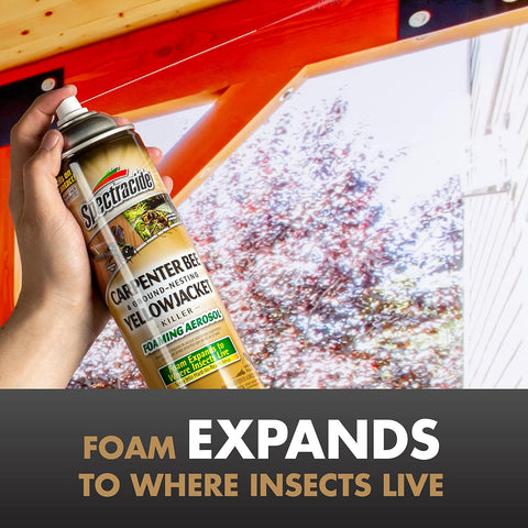 Spectracide Carpenter Bee & Gound-Nesting Yellowjacket Killer, 16 Oz