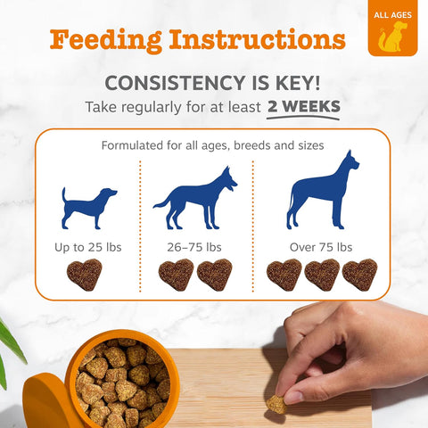 Zesty Paws Dog Vitamins - Dog Multivitamin Chews, Chicken, 90 Ct