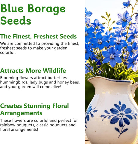 LUOJIBIE Borage Seeds, 2,000+ Blue Borage Seeds for Planting Outdoor & Indoor, Flower Seeds Bulk for Garden, Non-GMO & Heirloom, Easy to Grow
