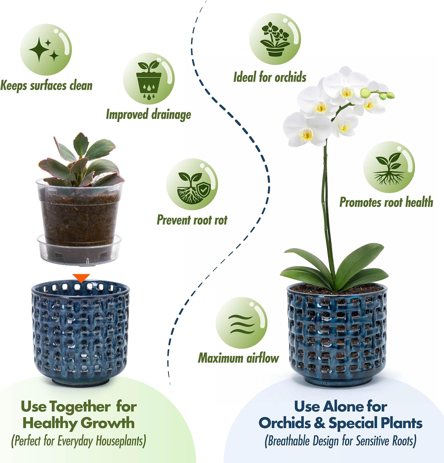D'vine Dev Orchid Pot, Clear Pot & Saucer, Midnight Blue, 4.5 in, 28-A-Z-2