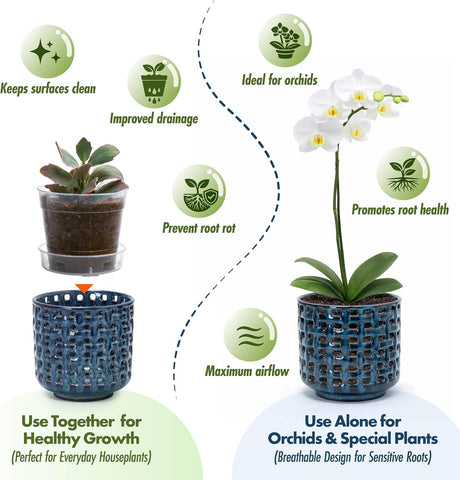 D'vine Dev Orchid Pot, Clear Pot & Saucer, Midnight Blue, 4.5 in, 28-A-Z-2