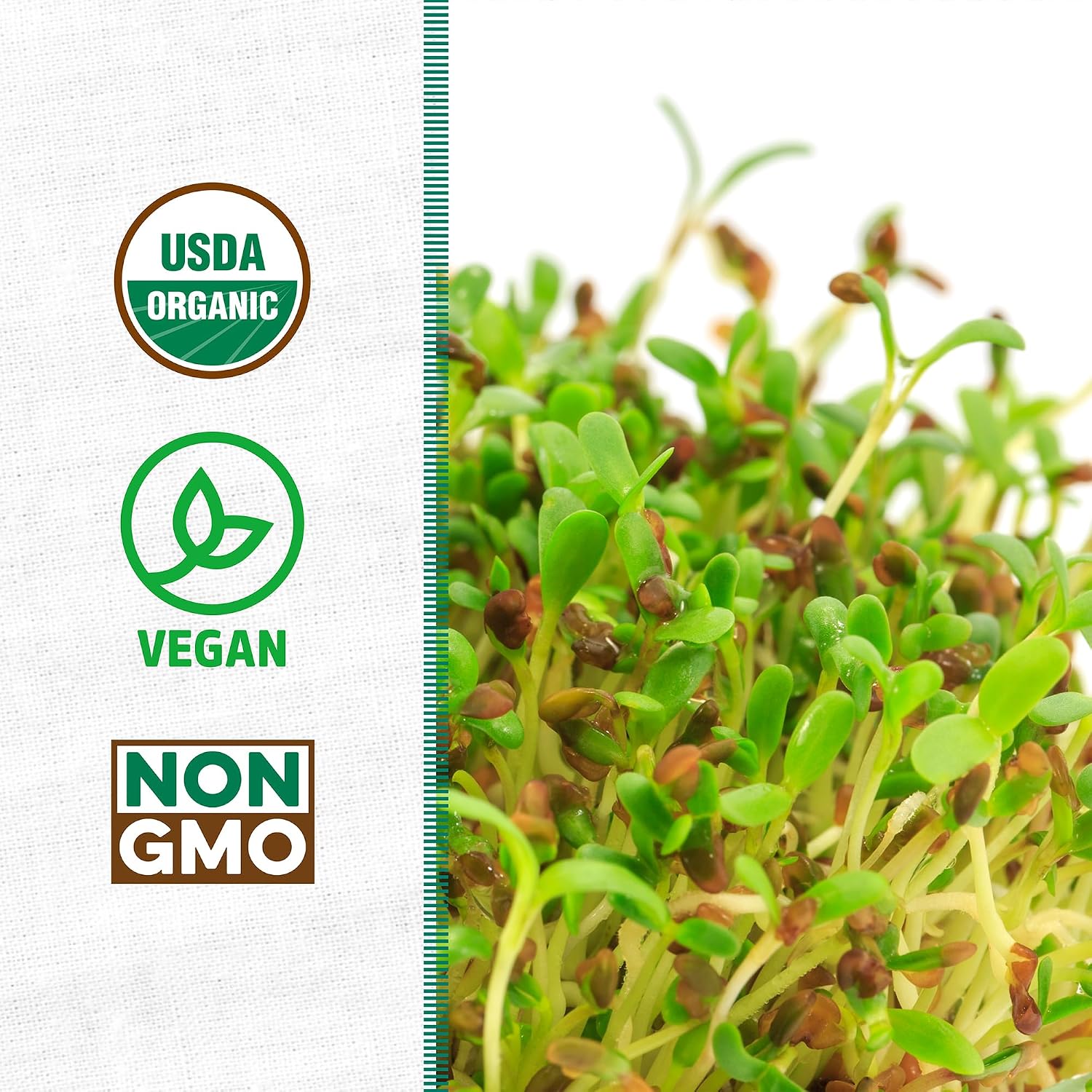 Back to the Roots 100% Organic Alfalfa Seeds | 1 Pound Non-GMO | Nutrient Dense, Easy to Grow, Rich in Fiber