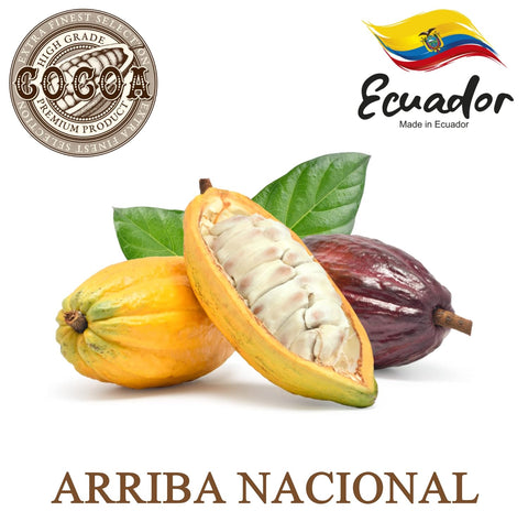 Plant Guru Raw Cocoa Butter 5 lbs. Bulk - 100% Pure Natural Unrefined FOOD GRADE Arriba Nacional Cacao Bean, Great For Chocolate Making, Soap, Lip Balm and Moisturizer For DIY Body Butters