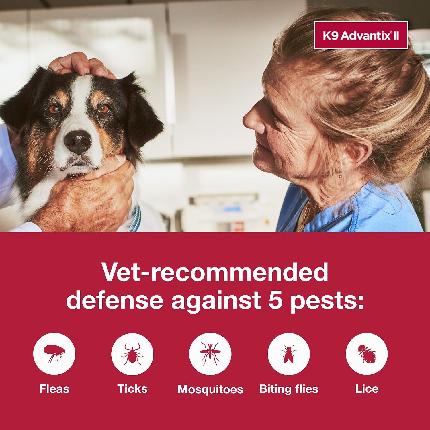 K9 Advantix II Large Dog Vet-Recommended Flea, Tick & Mosquito Treatment & Prevention | Dogs 21-55 lbs. | 2-Mo Supply (Packaging may vary)