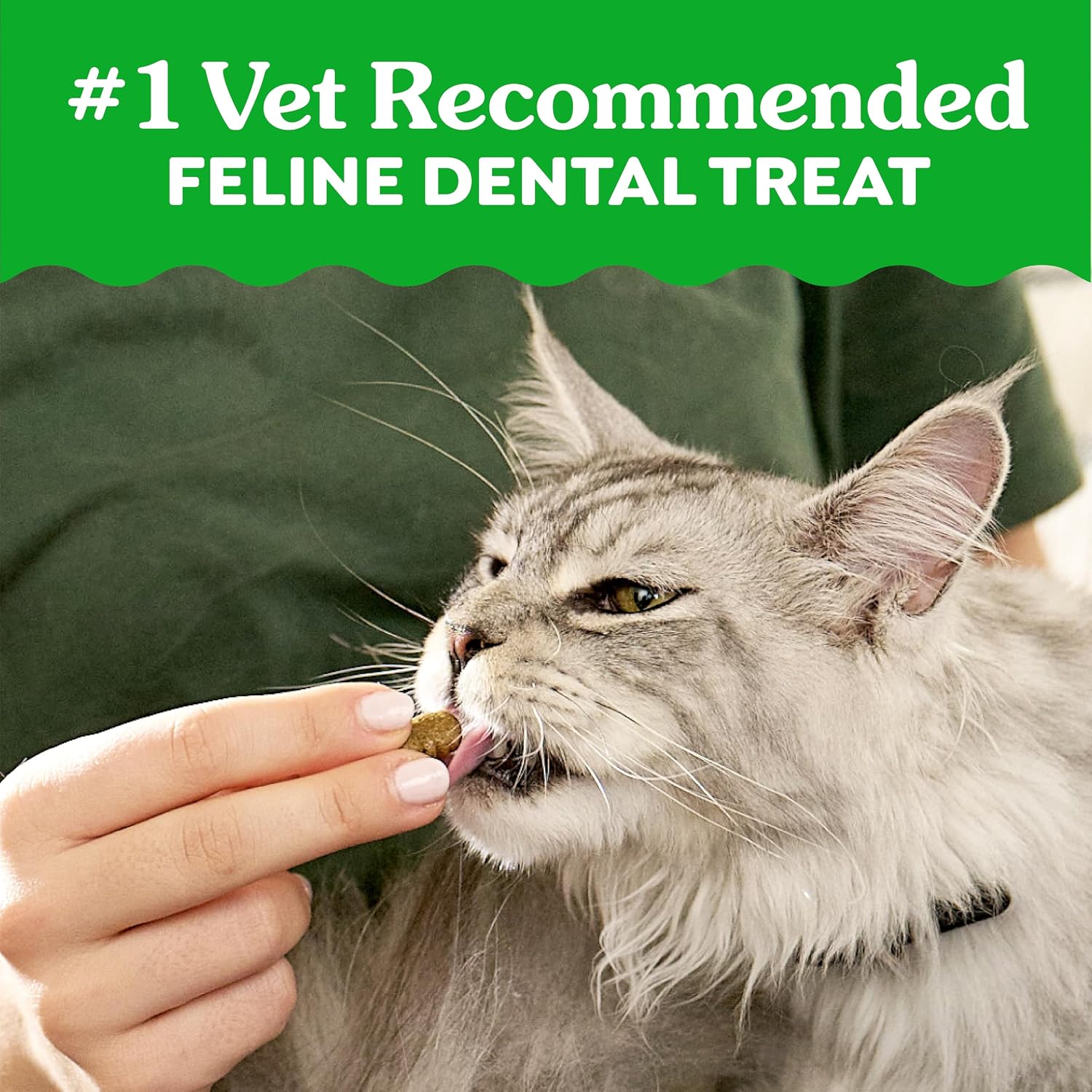 Greenies Feline Natural Dental Cat Treats, Roasted Chicken Flavor, 9.75 oz
