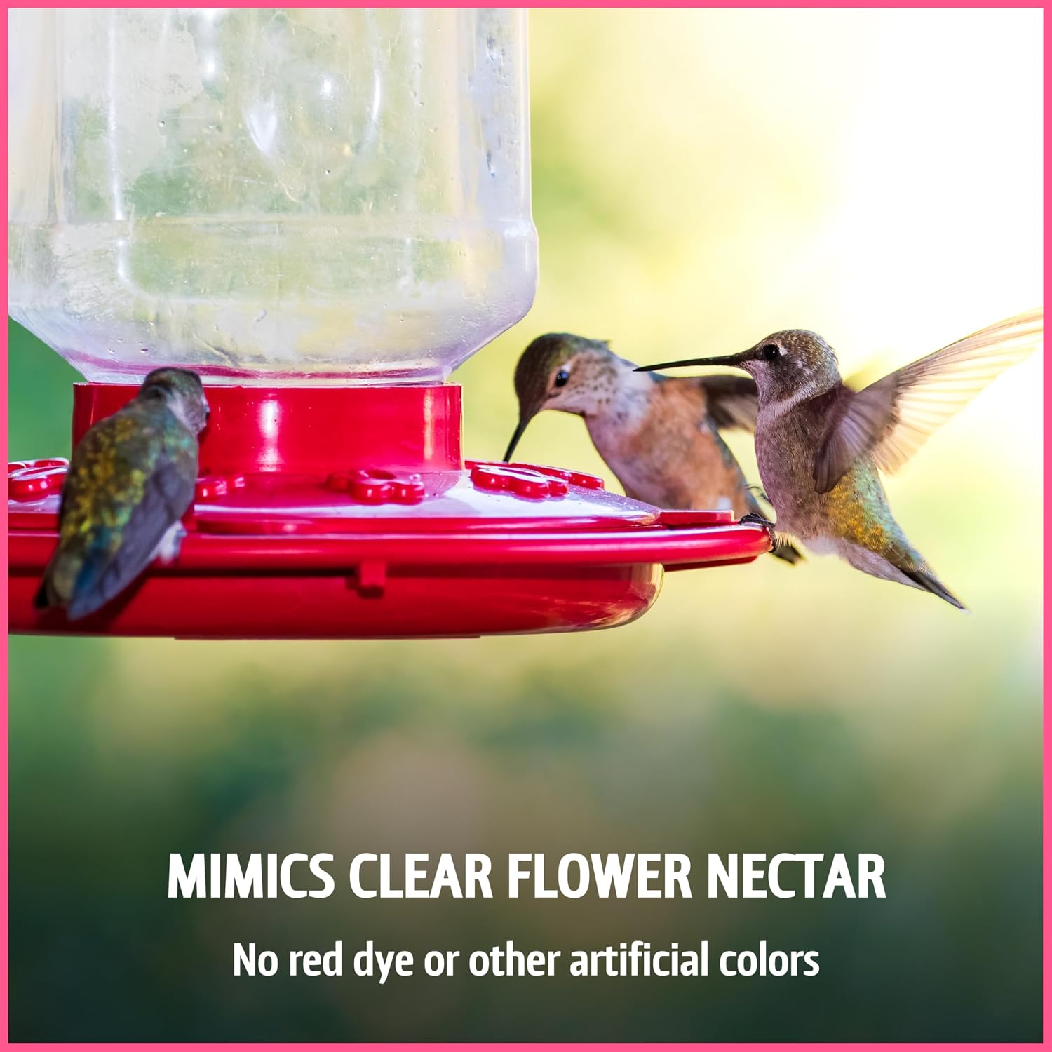 Pennington Electro-Nectar Hummingbird Nectar Ready to Use 64-Oz Bottle