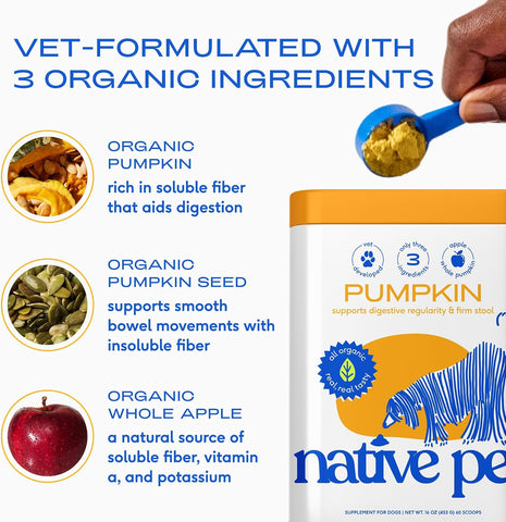 Native Pet Pumpkin for Dogs - Organic Dog Food Topper Powder - Promotes Firm Stools, Supports Digestive, Bowel Health & Nutrient Absorption - USDA Organic, Rich in Fiber with Real Pumpkin - 30 Scoops