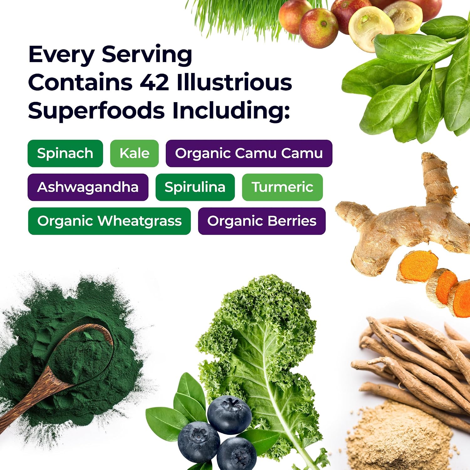 Paradise Herbs & Essentials ORAC Energy Greens Powder, 120 Servings