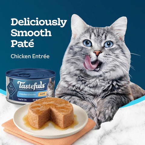 Blue Buffalo Tastefuls Chicken Paté Wet Cat Food for Adult Cats, Real Chicken First, Made with Natural Ingredients Enhanced with Vitamins, Minerals & Other Nutrients, 3-Ounce