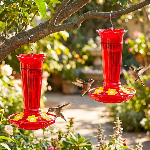 Gbekery 10 OZ Glass Hummingbird Feeders for Outdoors Hanging - Red 2 Pack, Ant & Bee Proof and 6 Feeding Ports, Garden Yard Décor Gifts for Mom