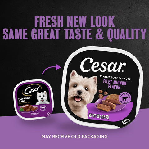 Cesar Classic Loaf in Sauce Wet Dog Food, Filet Mignon, 3.5 oz, 24 Count